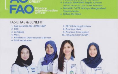 Lowongan Kerja BUMN (PT. Permodalan Nasional Madani)