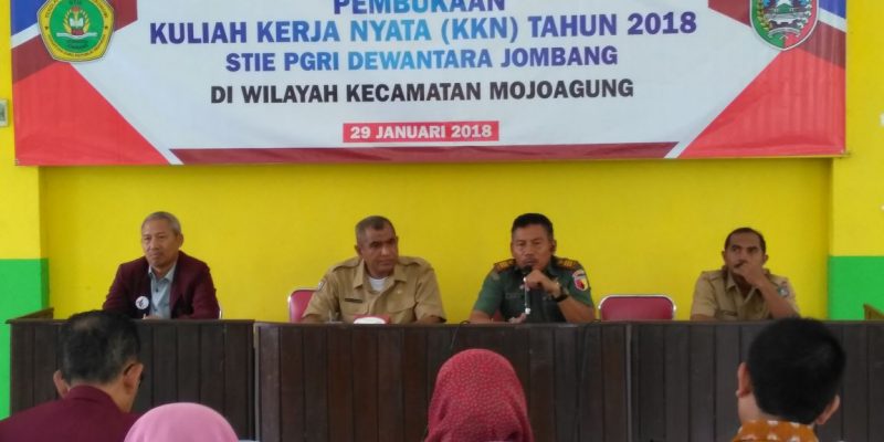 KKN-3