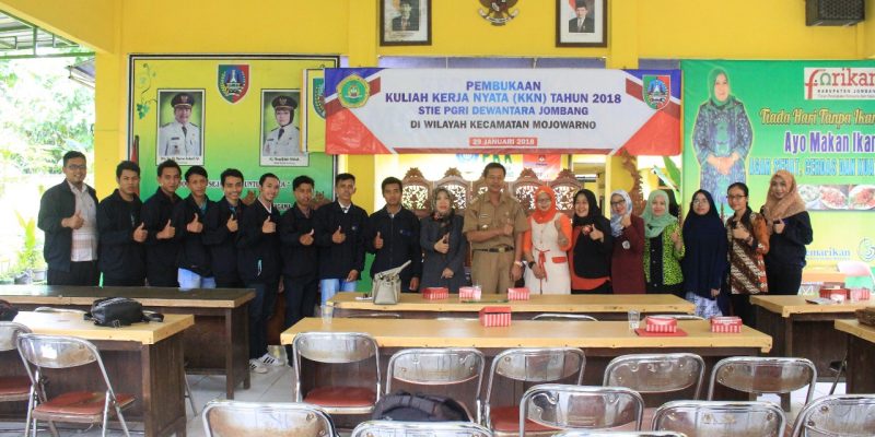 KKN-6