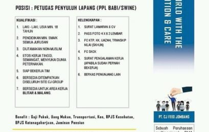 Lowongan Pekerjaan Non Muslim